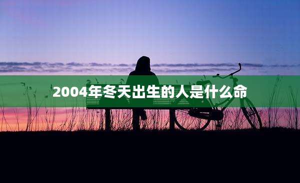 2004年冬天出生的人是什么命