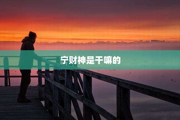 宁财神是干嘛的