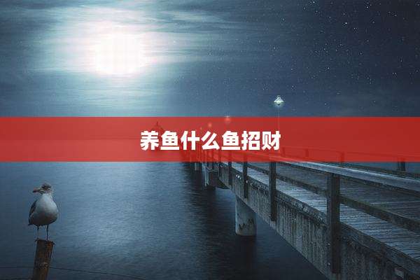 养鱼什么鱼招财
