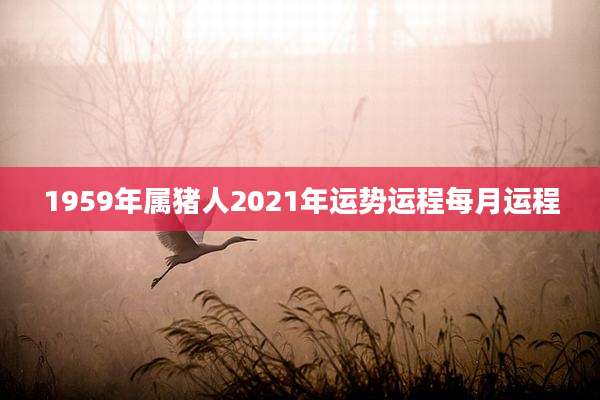 1959年属猪人2021年运势运程每月运程