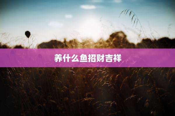 养什么鱼招财吉祥