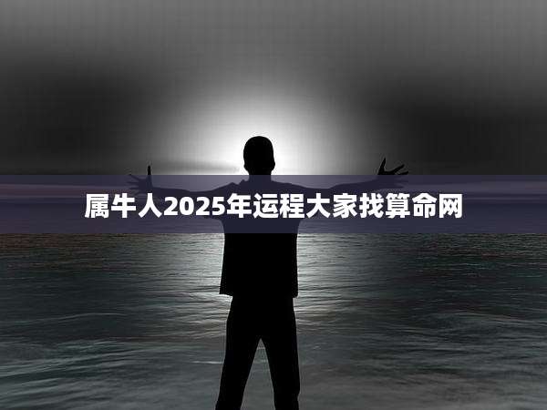属牛人2025年运程大家找算命网