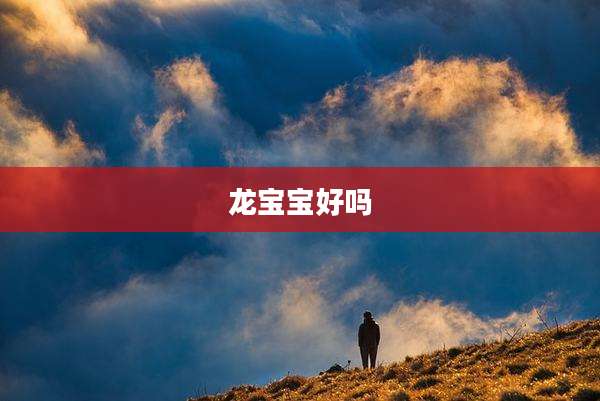 龙宝宝好吗