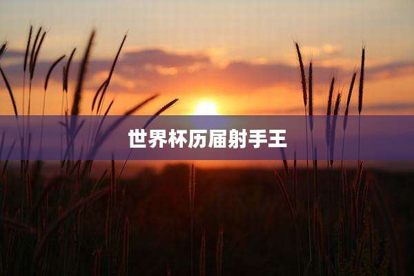 世界杯历届射手王
