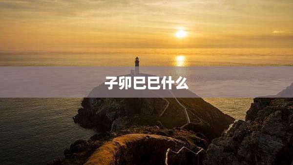 子卯巳巳什么