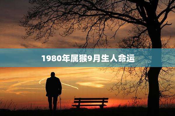 1980年属猴9月生人命运