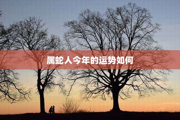属蛇人今年的运势如何