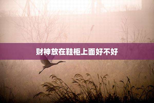 财神放在鞋柜上面好不好