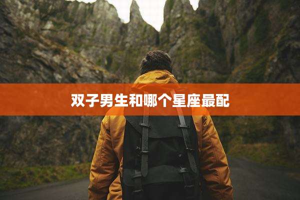 双子男生和哪个星座最配