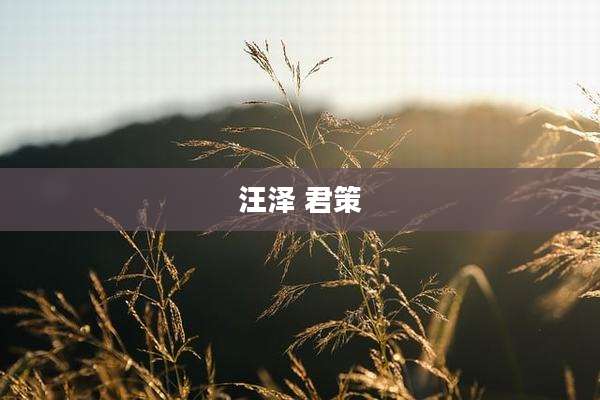 汪泽 君策