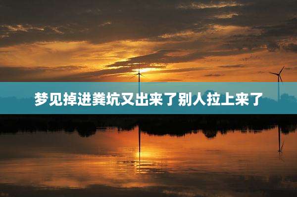 梦见掉进粪坑又出来了别人拉上来了