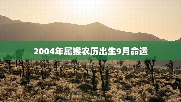2004年属猴农历出生9月命运
