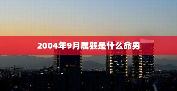 2004年9月属猴是什么命男