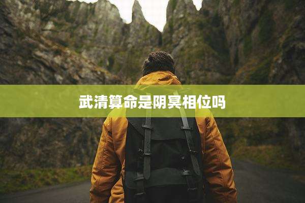 武清算命是阴冥相位吗