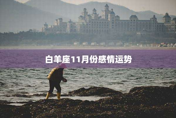 白羊座11月份感情运势
