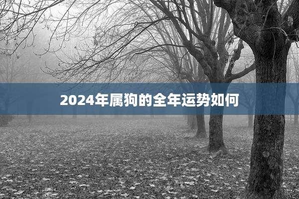 2024年属狗的全年运势如何