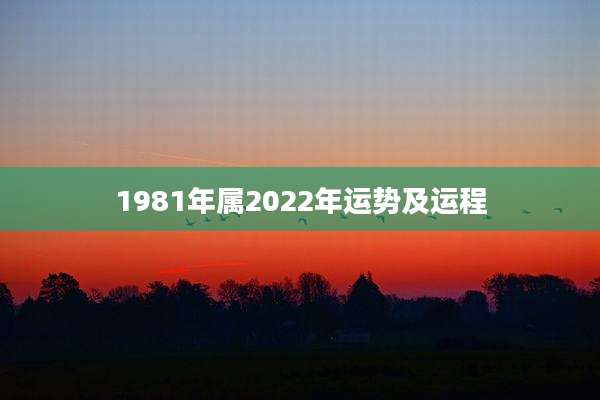1981年属2022年运势及运程
