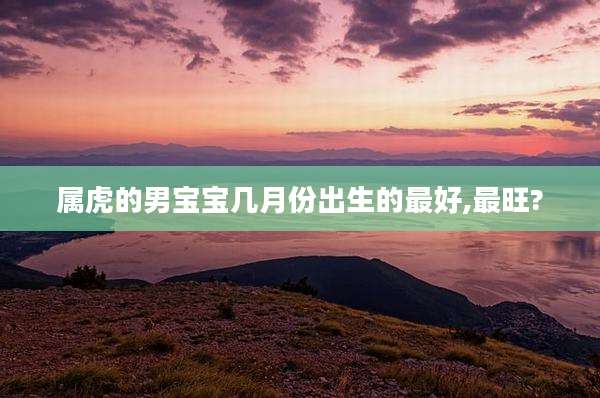 属虎的男宝宝几月份出生的最好,最旺?