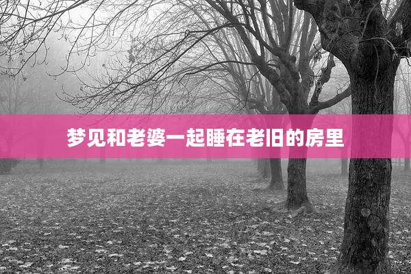 梦见和老婆一起睡在老旧的房里