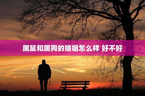 属鼠和属狗的婚姻怎么样 好不好