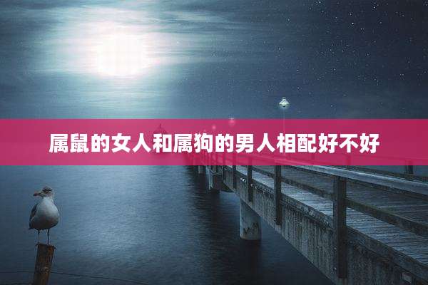 属鼠的女人和属狗的男人相配好不好