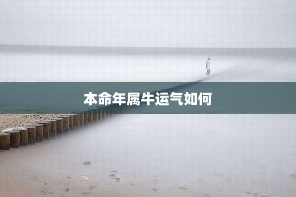 本命年属牛运气如何