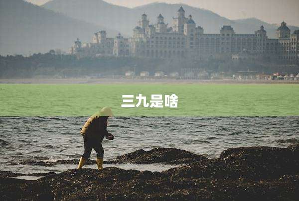 三九是啥