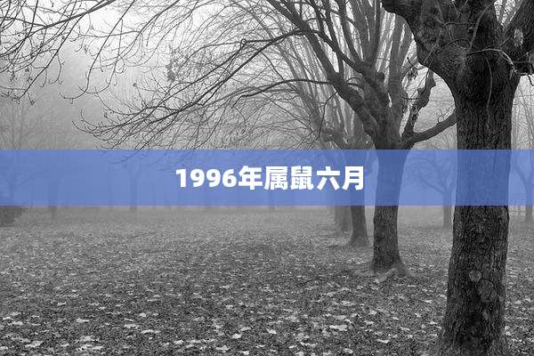 1996年属鼠六月