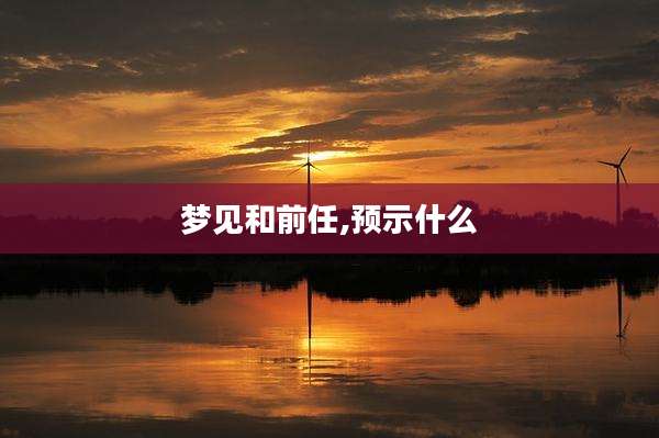 梦见和前任,预示什么