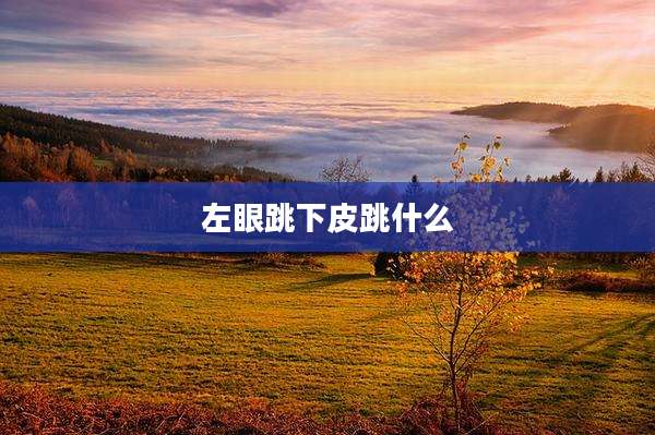 左眼跳下皮跳什么