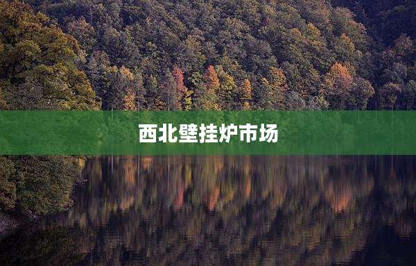 西北壁挂炉市场