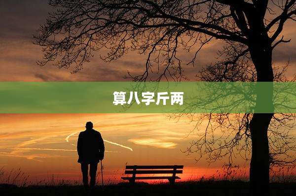 算八字斤两