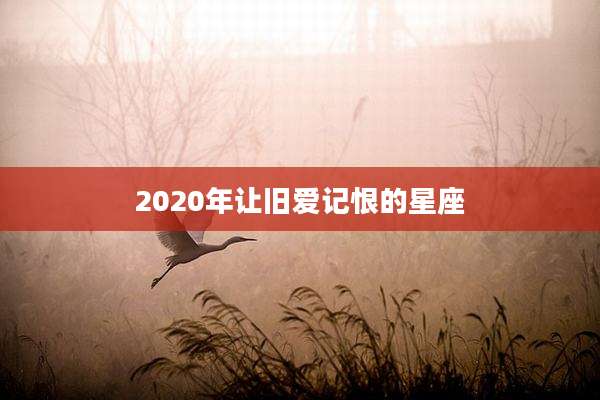 2020年让旧爱记恨的星座