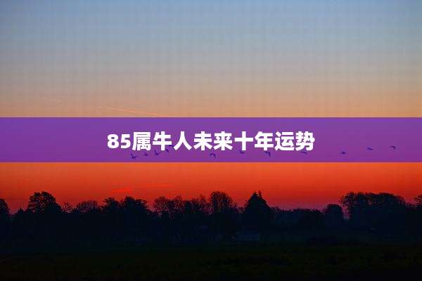 85属牛人未来十年运势