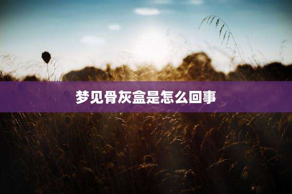 梦见骨灰盒是怎么回事