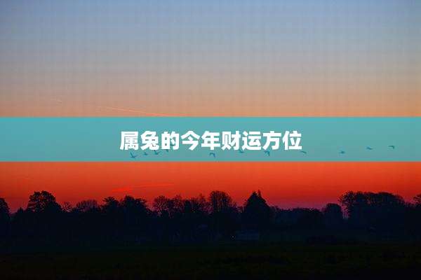 属兔的今年财运方位