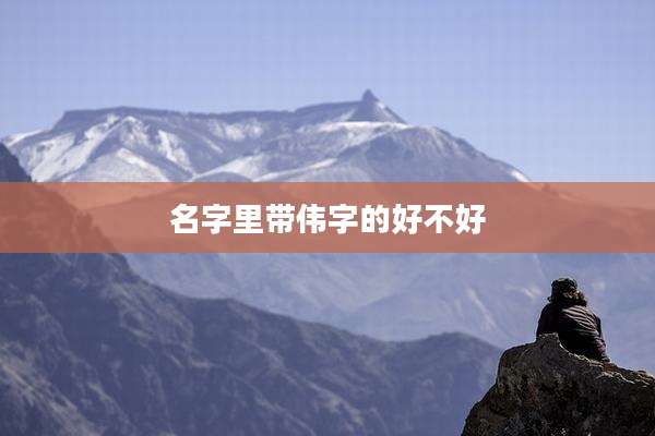 名字里带伟字的好不好