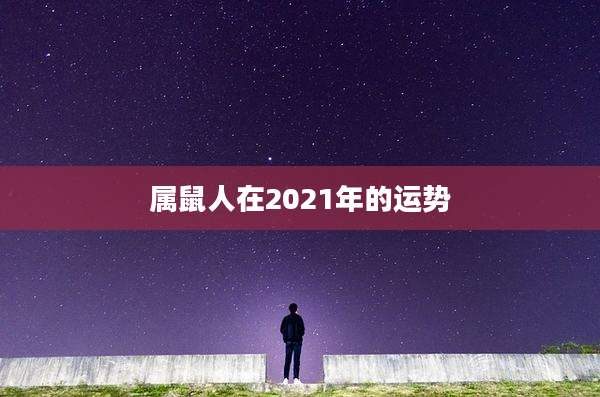 属鼠人在2021年的运势