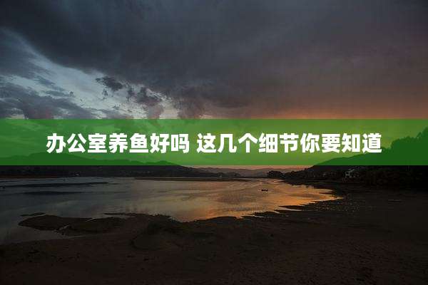 办公室养鱼好吗 这几个细节你要知道