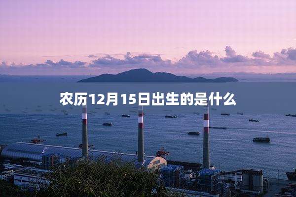 农历12月15日出生的是什么