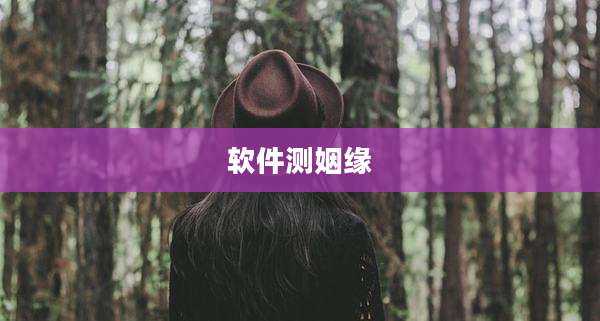 软件测姻缘