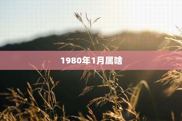 1980年1月属啥