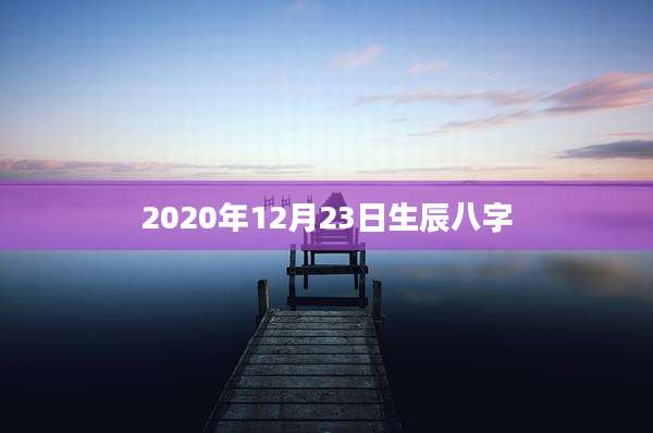 2020年12月23日生辰八字