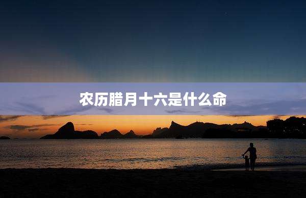 农历腊月十六是什么命