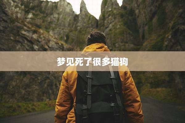 梦见死了很多猫狗