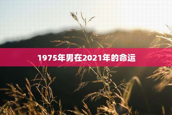 1975年男在2021年的命运