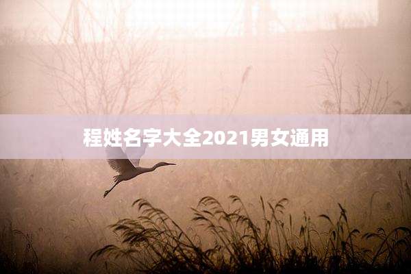 程姓名字大全2021男女通用
