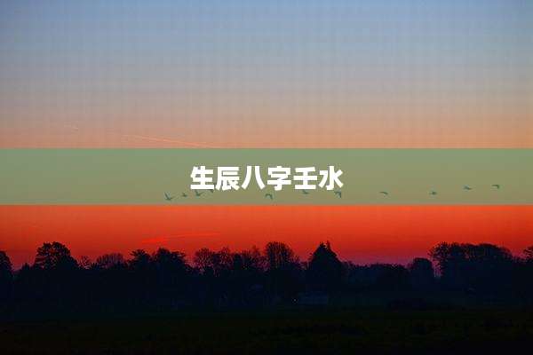 生辰八字壬水