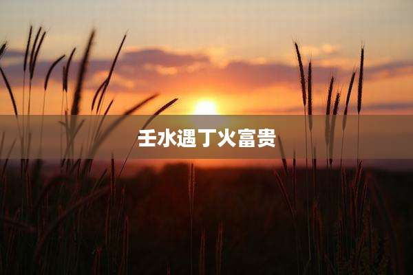 壬水遇丁火富贵