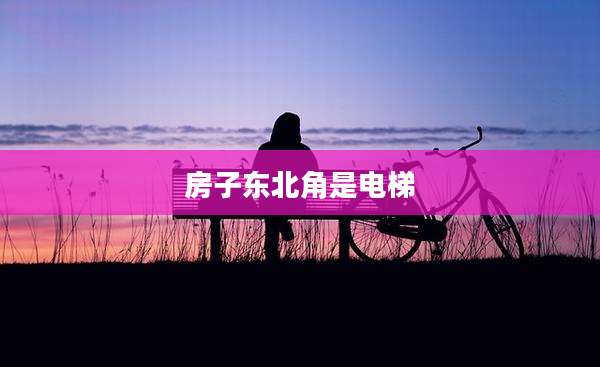房子东北角是电梯